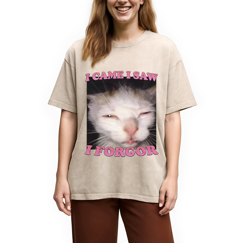Tokyocanvas I Forgor Funny Cat Meme Washed T-Shirt