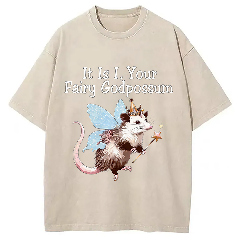 Tokyocanvas It Is I Your Fairy Godpossum Washed T-Shirt