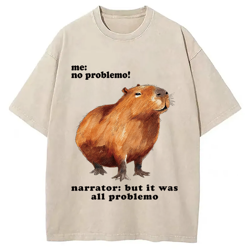 Tokyocanvas All Problemo, No Panic Washed T-Shirt