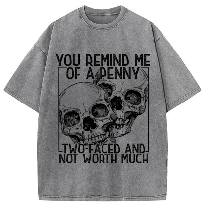 Tokyocanvas You Remind Me Of A Penny Two Faced And not Worth Much Washed T-Shirt