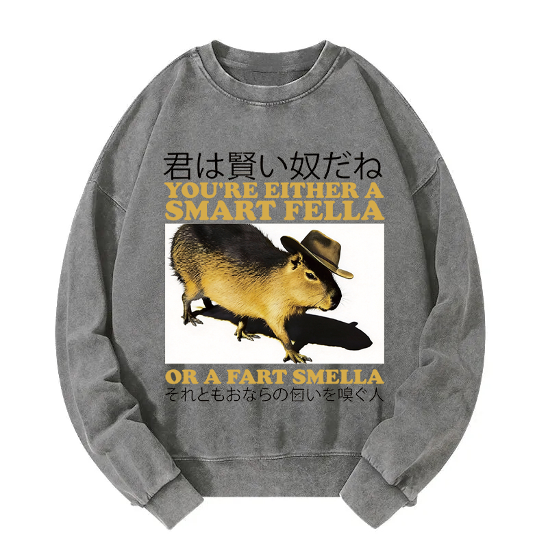 Tokyocanvas Smart Fella Fart Smella Capybara Washed Sweatshirt
