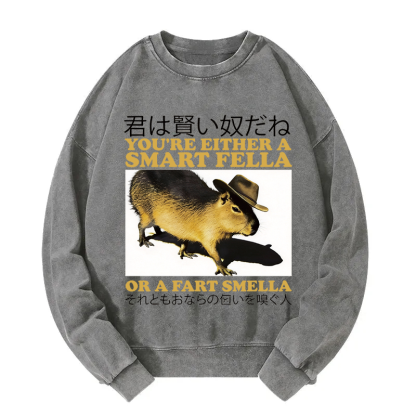 Tokyocanvas Smart Fella Fart Smella Capybara Washed Sweatshirt