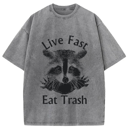 Tokyocanvas Trash Panda Raccoon Washed T-Shirt