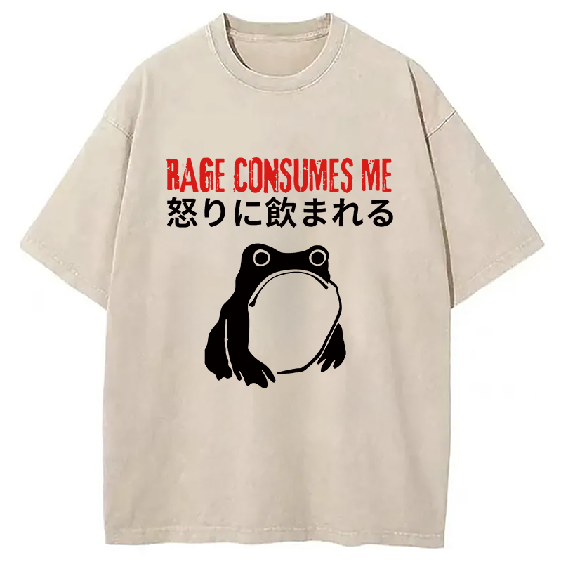 Tokyocanvas Rage Consumes Me Frog Meme Washed T-Shirt