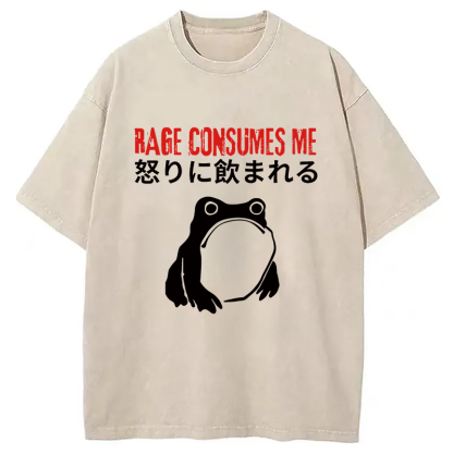 Tokyocanvas Rage Consumes Me Frog Meme Washed T-Shirt