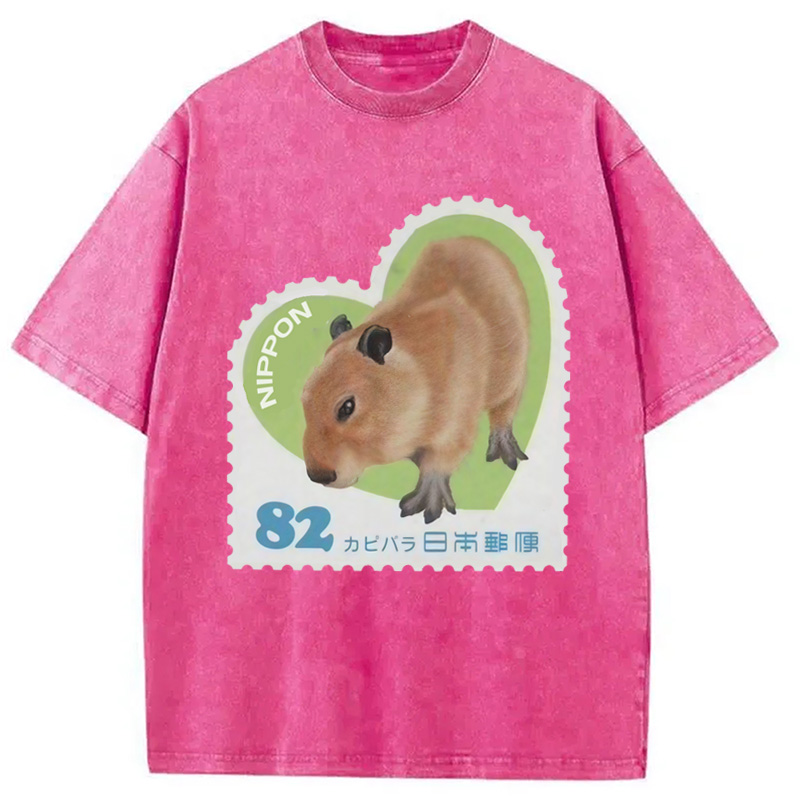 Tokyocanvas Japanese Capybara Washed T-Shirt