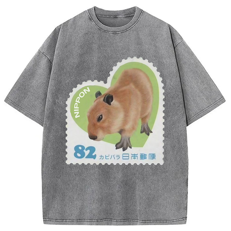 Tokyocanvas Japanese Capybara Washed T-Shirt