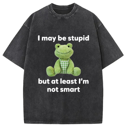 Tokyocanvas I May Be Stupid Alcohol Lover Washed T-Shirt