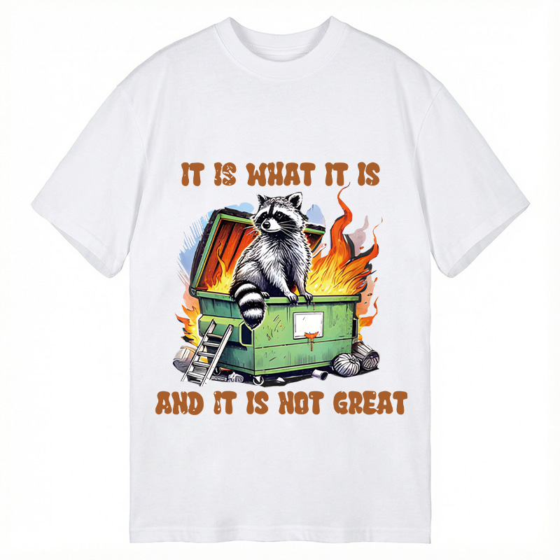 Tokyocanvas It is What Not Great Raccoon Meme Classic T-Shirt