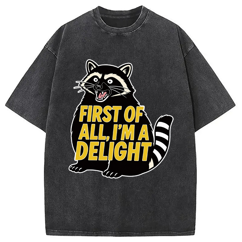 Tokyocanvas First of All I'm a Delight Raccoon Washed T-Shirt