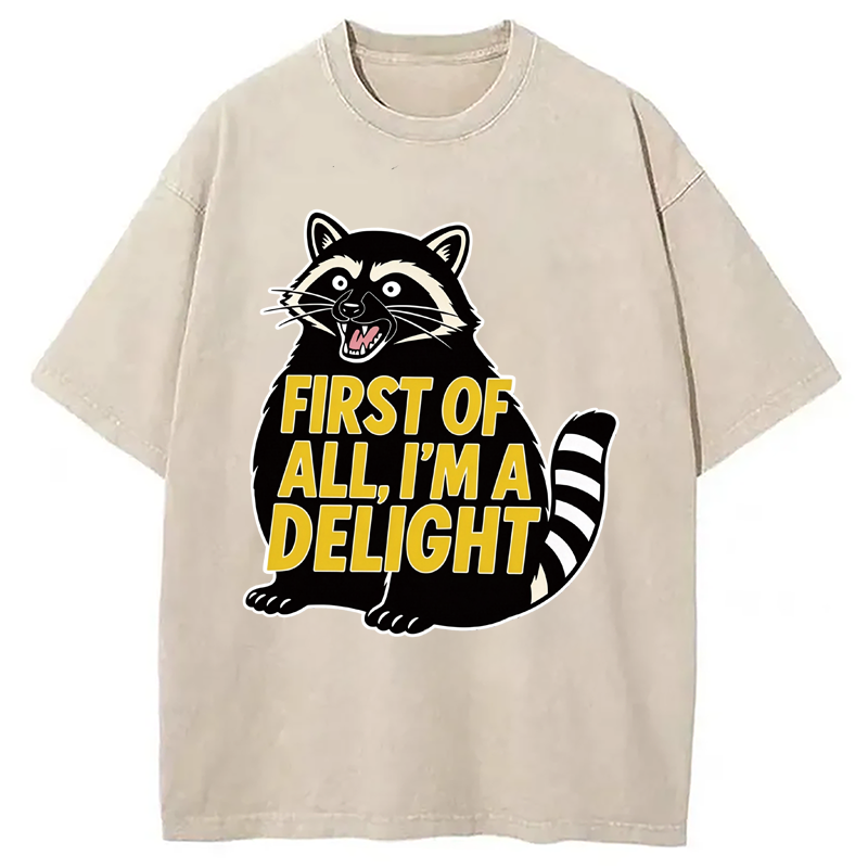 Tokyocanvas First of All I'm a Delight Raccoon Washed T-Shirt