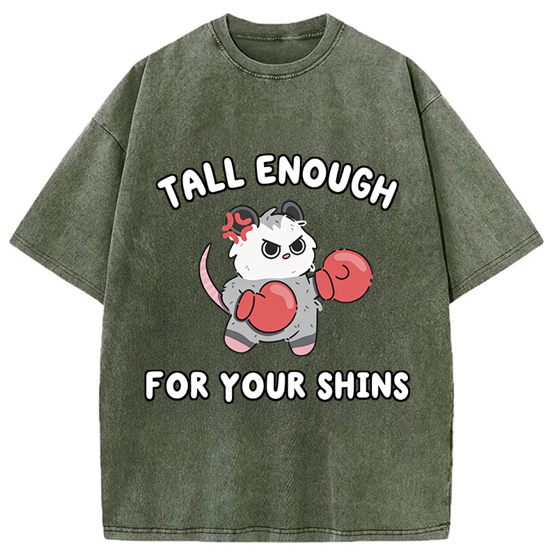 Tokyocanvas Tall Enough For Your Shins Washed T-Shirt