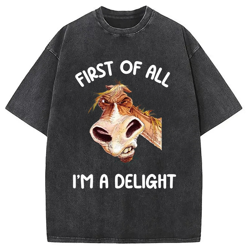 Tokyocanvas First of All I'm a Delight Horse Washed T-Shirt