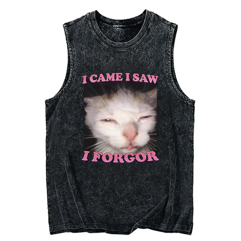 Tokyocanvas I Forgor Funny Cat Meme Washed Tank