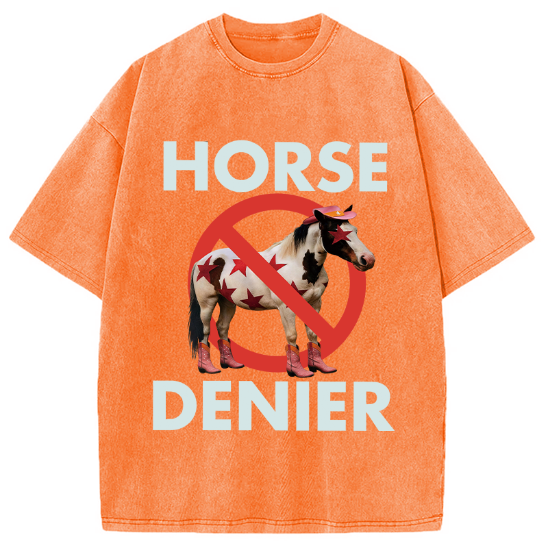 Tokyocanvas Funny Star-Spangled Cowboy Horse Denier Washed T-Shirt
