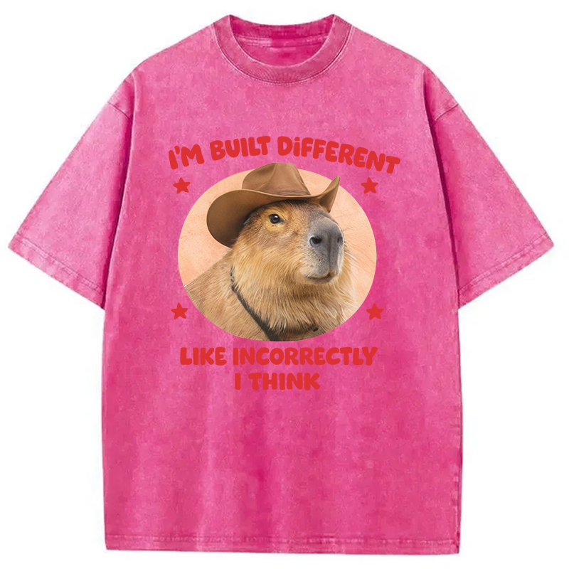 Tokyocanvas I'm Built Different Like Incorrectly Capybara Washed T-Shirt