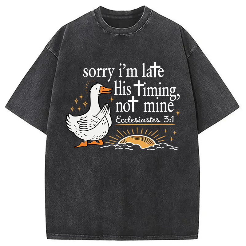 Tokyocanvas His Timing Not Mine Goose Washed T-Shirt