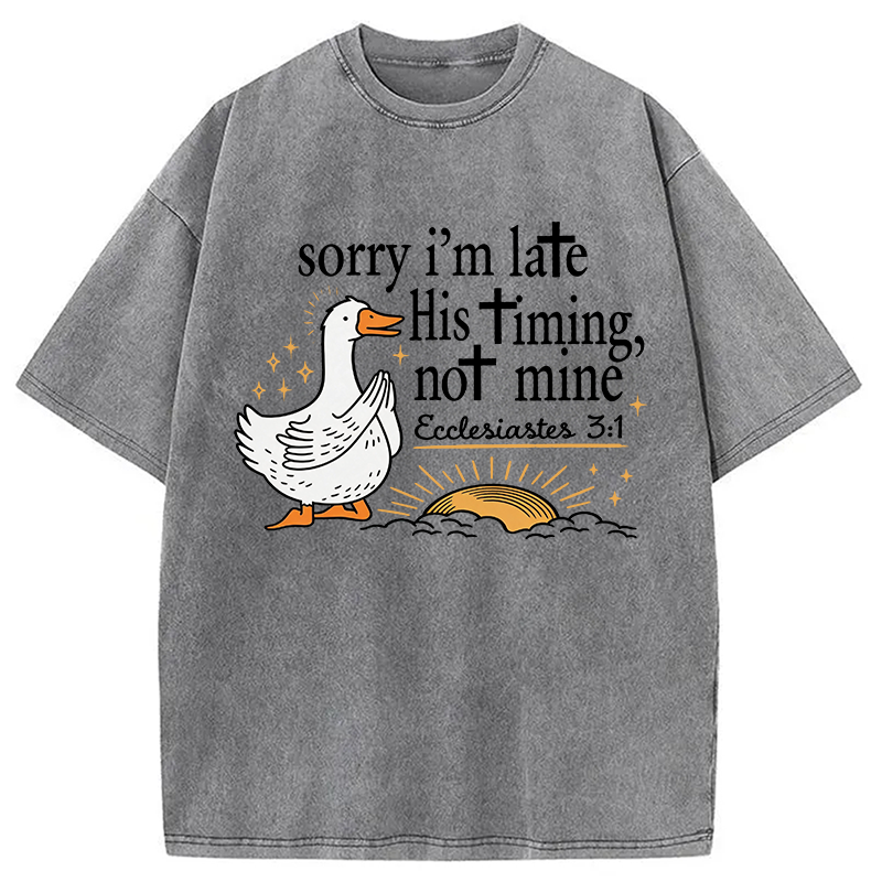 Tokyocanvas His Timing Not Mine Goose Washed T-Shirt
