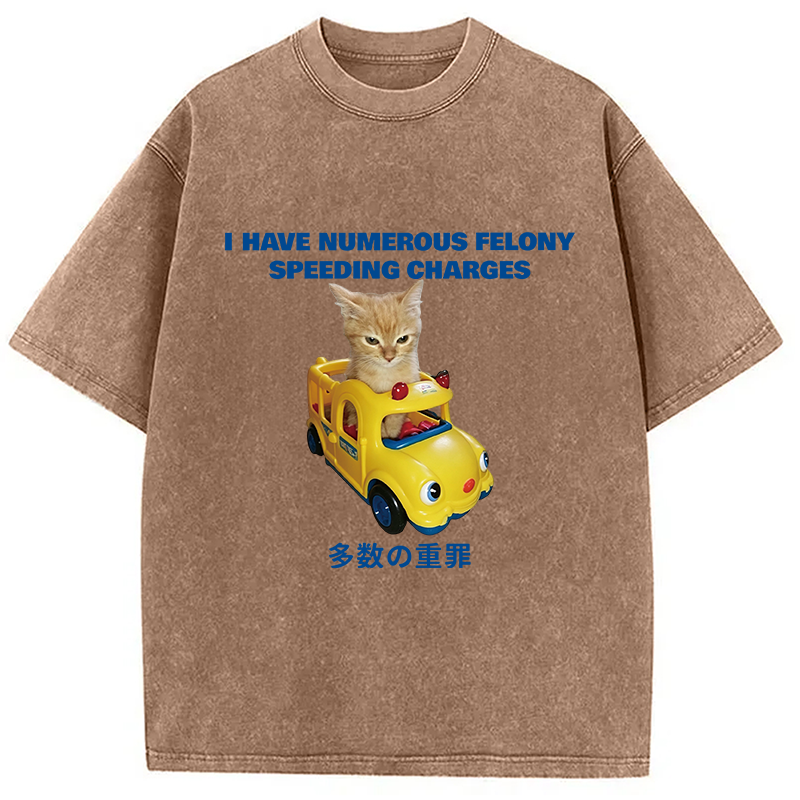 Tokyocanvas I Have Numerous Felonies For Speeding Washed T-Shirt