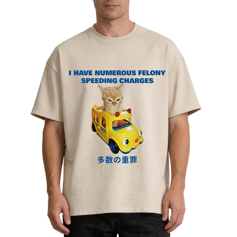 Tokyocanvas I Have Numerous Felonies For Speeding Washed T-Shirt