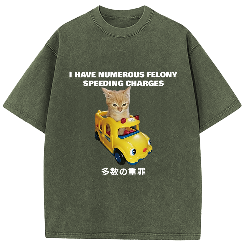 Tokyocanvas I Have Numerous Felonies For Speeding Washed T-Shirt