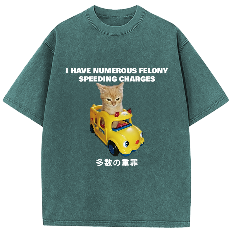 Tokyocanvas I Have Numerous Felonies For Speeding Washed T-Shirt