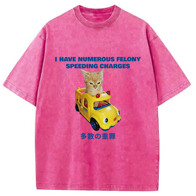 Tokyocanvas I Have Numerous Felonies For Speeding Washed T-Shirt
