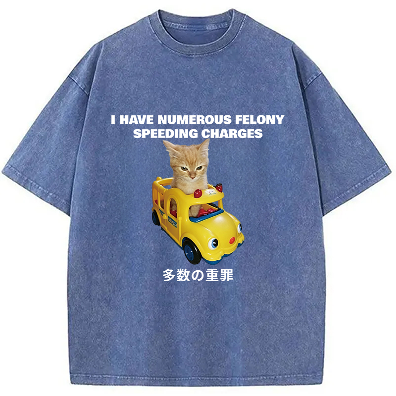 Tokyocanvas I Have Numerous Felonies For Speeding Washed T-Shirt