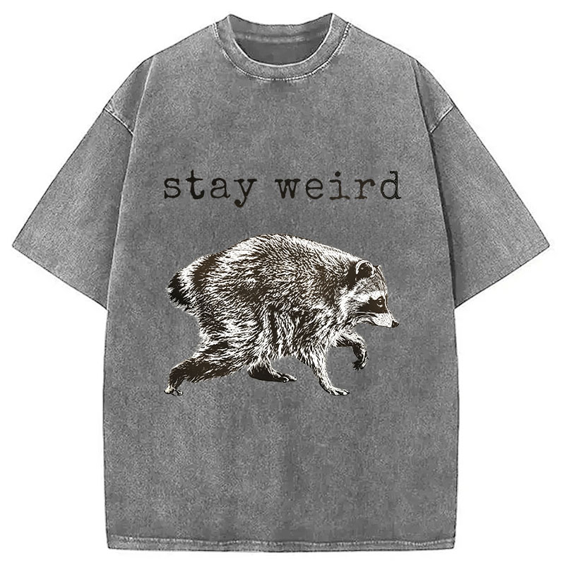 Tokyocanvas Stay Weird Funny Washed T-Shirt