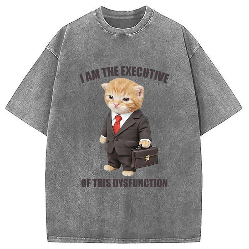 Tokyocanvas I Am The Executive Of This Dysfunction Washed T-Shirt