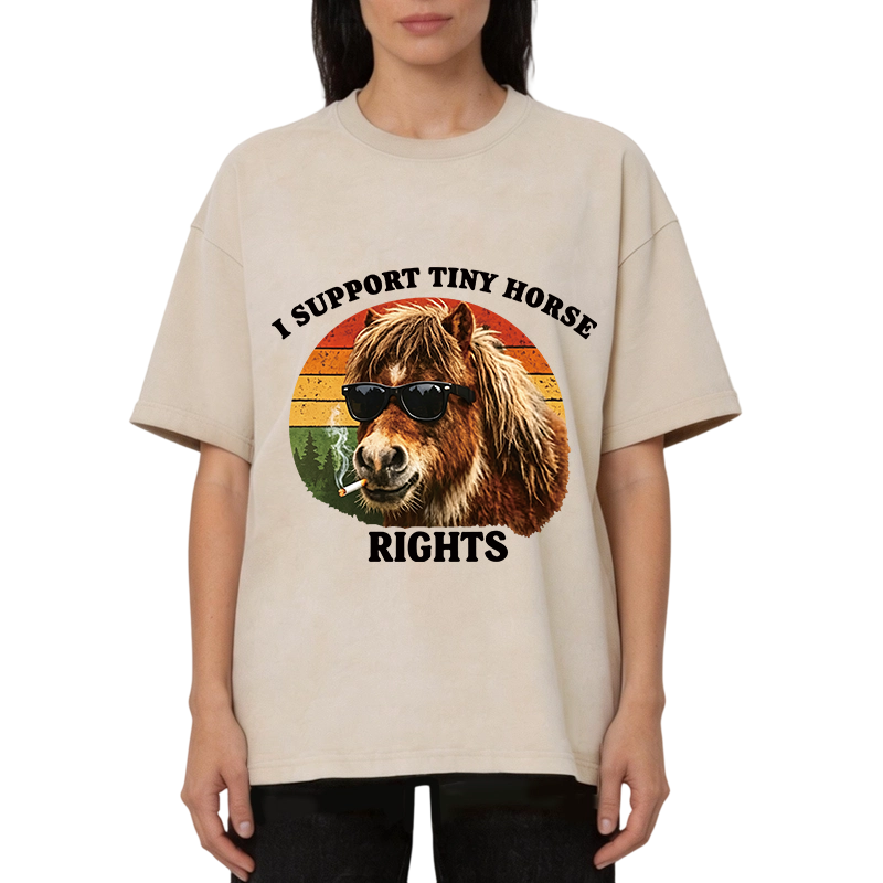 Tokyocanvas Frog Wizard Riding A Horse Washed T-Shirt
