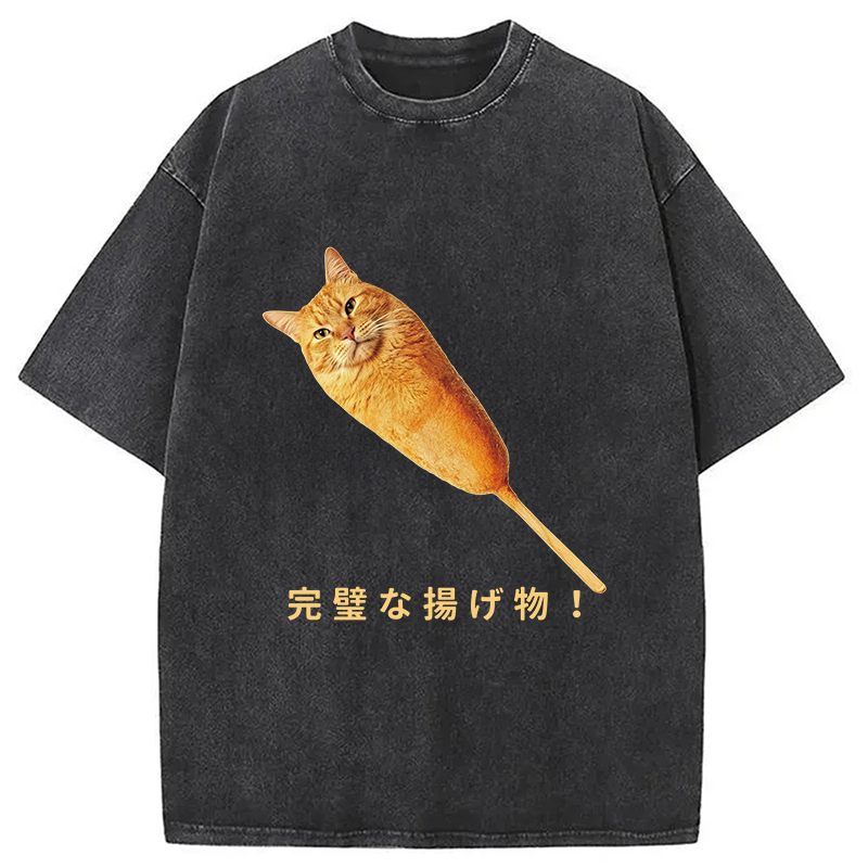 Tokyocanvas Orange Cat Hotdog Meme Washed T-Shirt