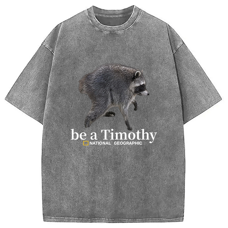Tokyocanvas Be a Jimothy Washed T-Shirt