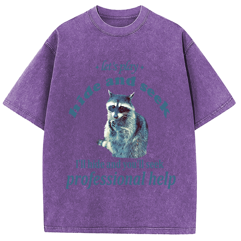 Tokyocanvas Let's Play Hide and Seek Raccoon Washed T-Shirt