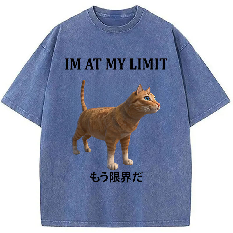 Tokyocanvas Poly Cat At My Limit Washed T-Shirt