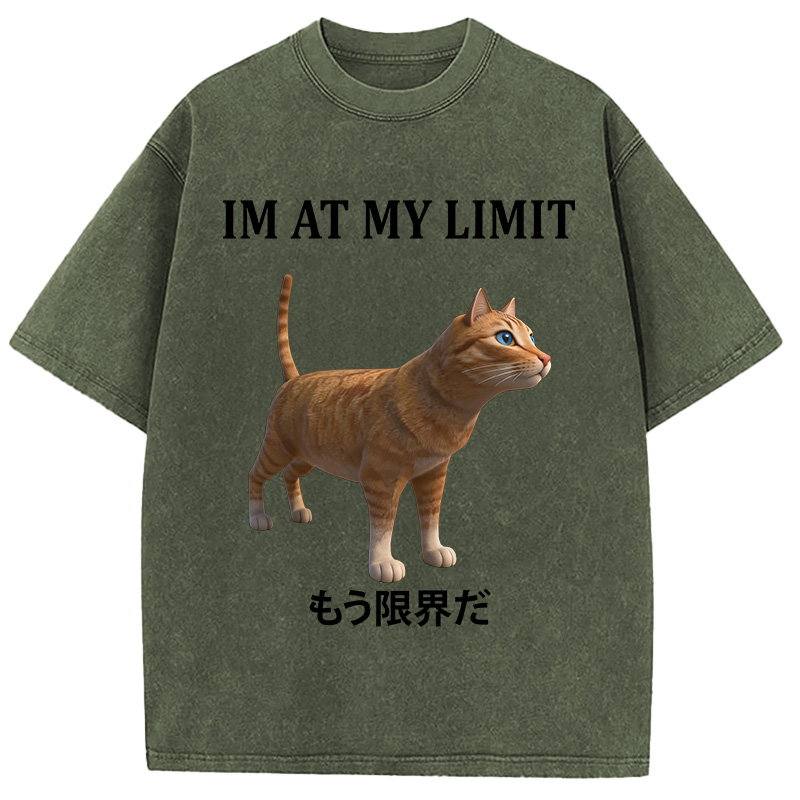 Tokyocanvas Poly Cat At My Limit Washed T-Shirt