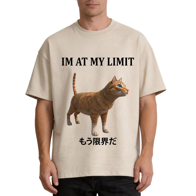 Tokyocanvas Poly Cat At My Limit Washed T-Shirt