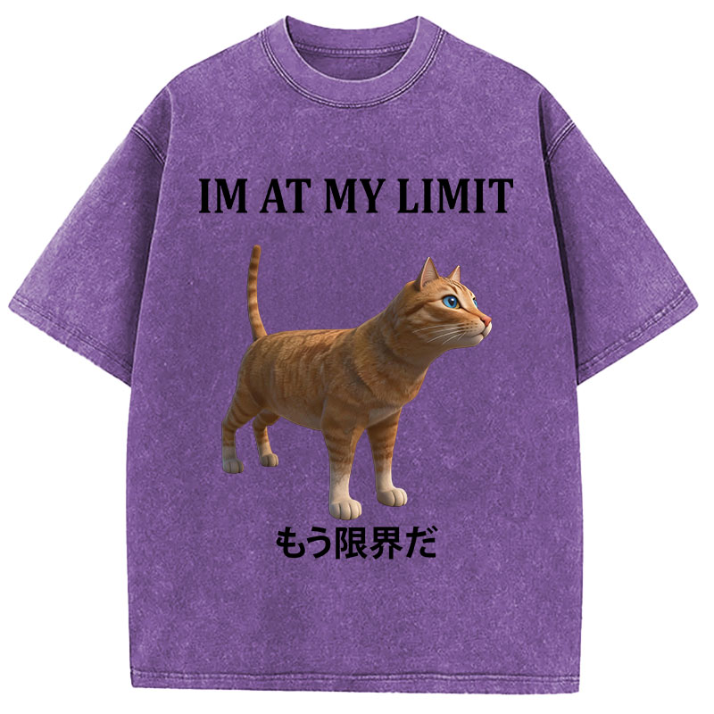 Tokyocanvas Poly Cat At My Limit Washed T-Shirt