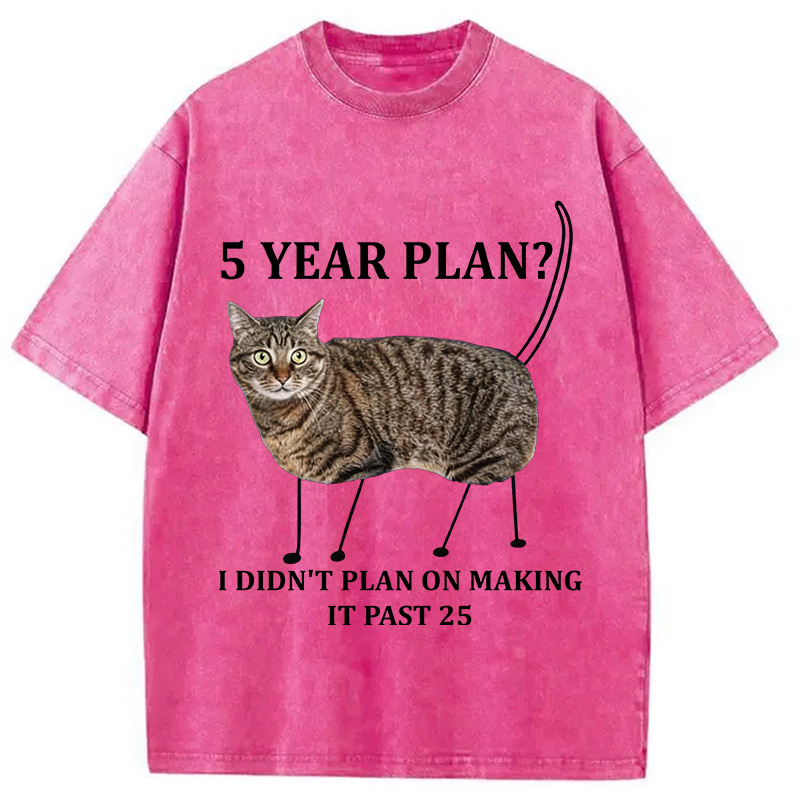 Tokyocanvas 5 Year Plan Unisex Washed T-Shirt
