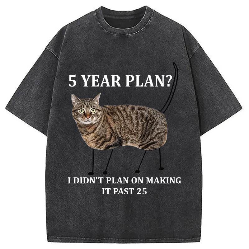 Tokyocanvas 5 Year Plan Unisex Washed T-Shirt