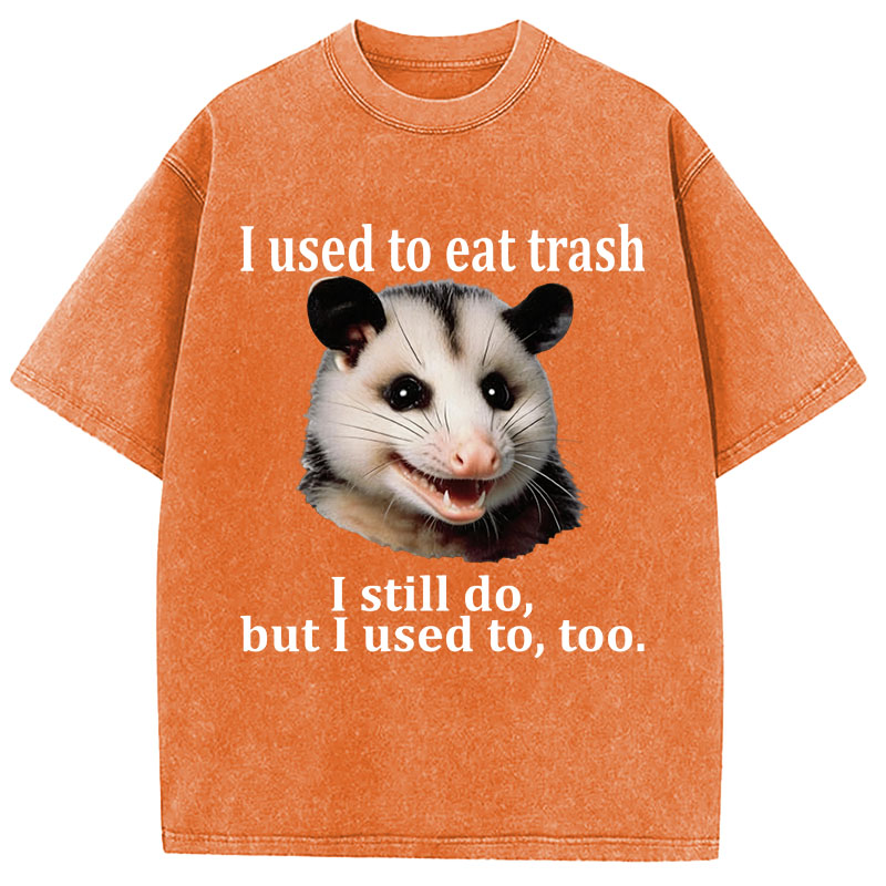 Tokyocanvas Possum Washed T-Shirt