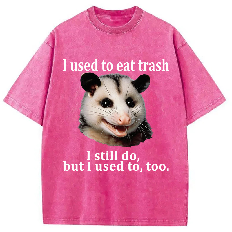 Tokyocanvas Possum Washed T-Shirt