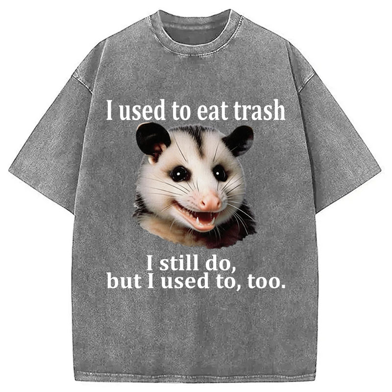 Tokyocanvas Possum Washed T-Shirt