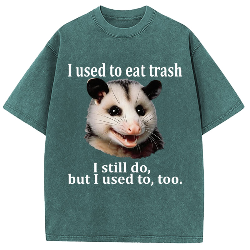 Tokyocanvas Possum Washed T-Shirt
