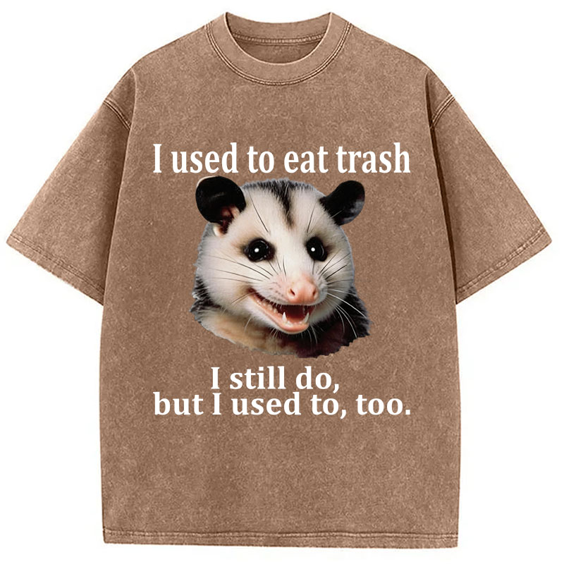 Tokyocanvas Possum Washed T-Shirt