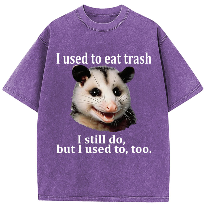 Tokyocanvas Possum Washed T-Shirt