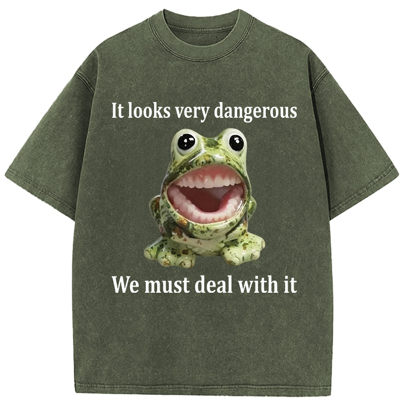 Tokyocanvas It Looks Very Dangerous Frog Washed T-Shirt