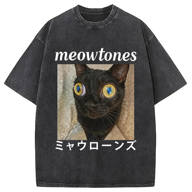 Tokyocanvas Meowlones Washed T-Shirt