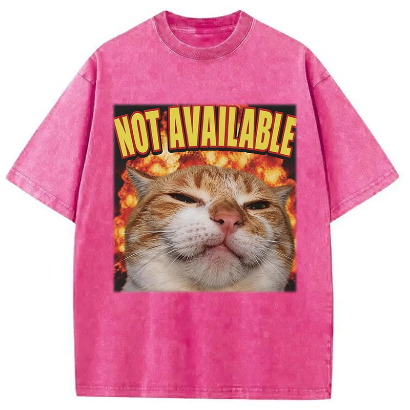 Tokyocanvas Not Available Cat Meme Washed T-Shirt