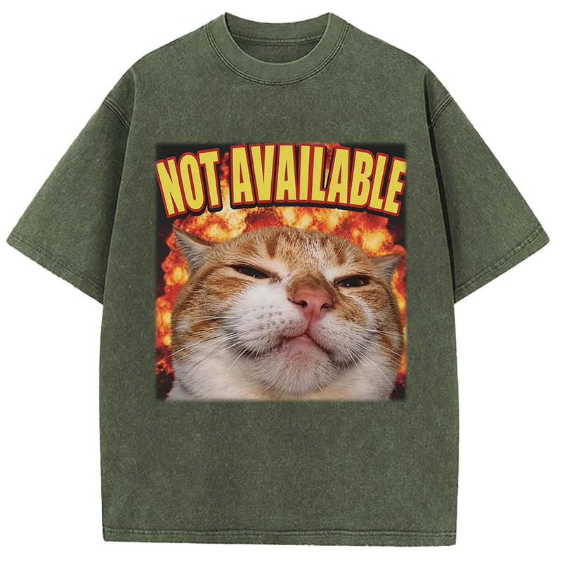 Tokyocanvas Not Available Cat Meme Washed T-Shirt
